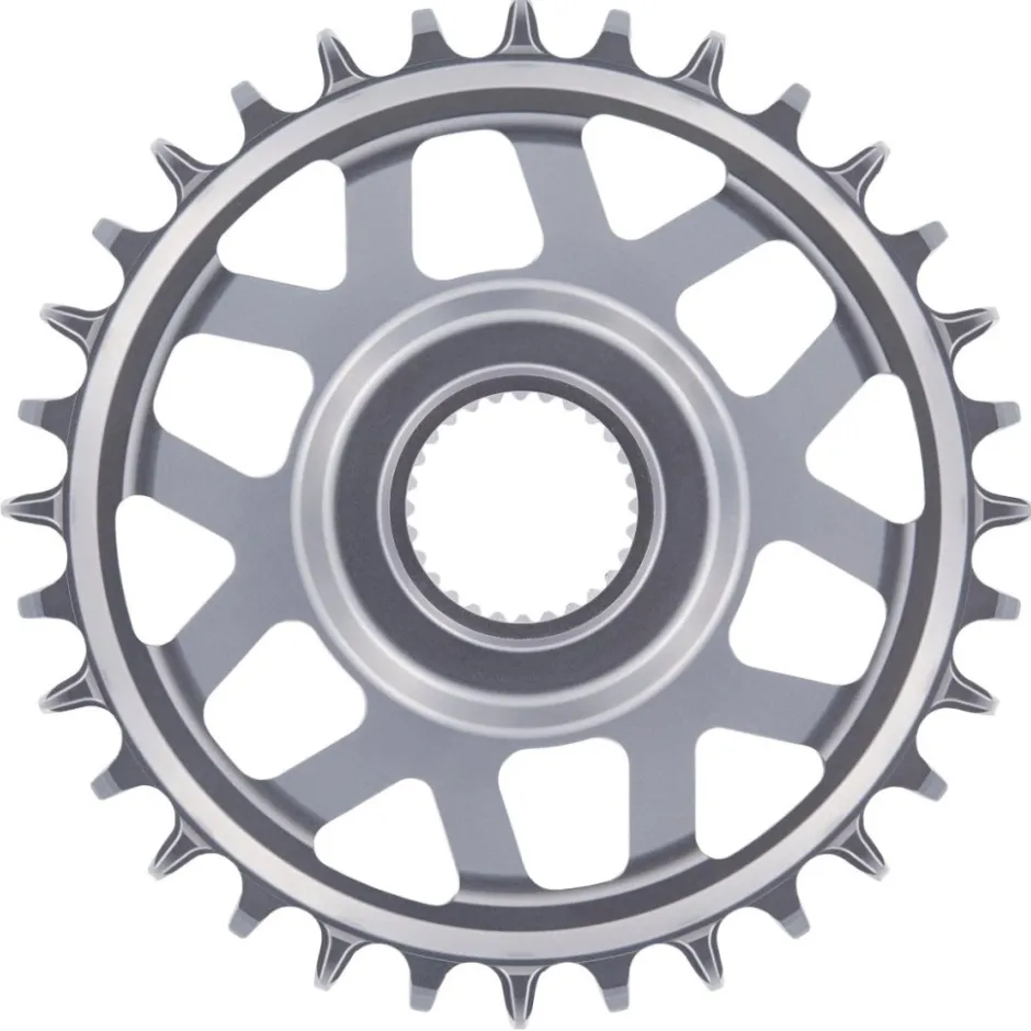 E-Bike Aandrijving < e*thirteen Helix Race e*spec - Direct Mount Kettingblad - Bosch - 15mm Offset - zilver