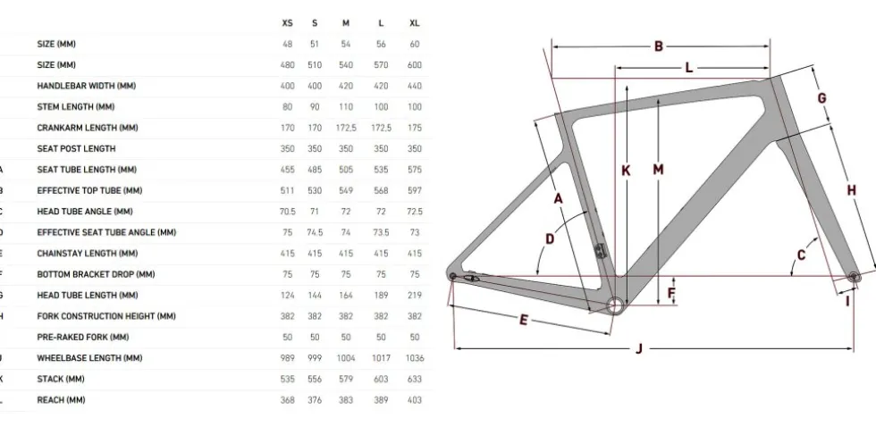 FOCUS PARALANE 8.9 - Ultegra Di2 - Carbon Racefiets - 2026 - Carbon raw matt / glossy