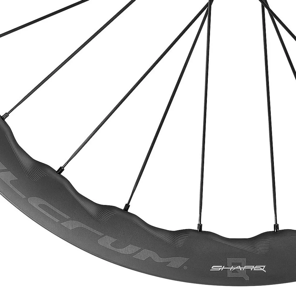 Fulcrum SHARQ Wielset 42 - 28" | Carbon | 2-Way Fit | Centerlock - 12x100mm | 12x142mm - Shimano HG L