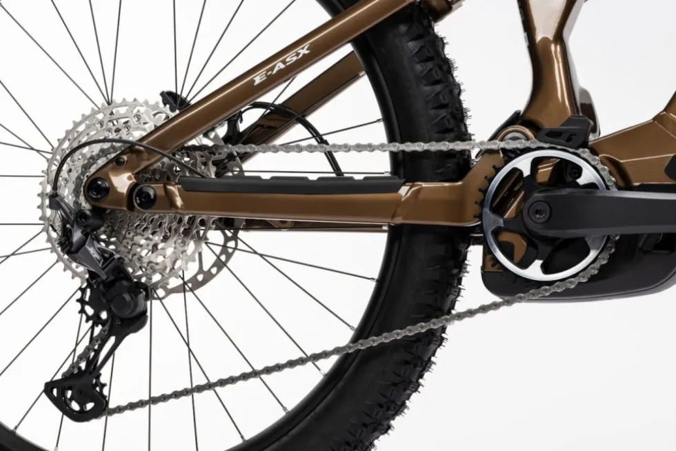 Ghost E-ASX ADVANCED HIGH - 29"/27,5" E-MTB - 2026 - brown bear / stone glossy