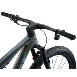 Mtb Full Suspension|Crosscountry Mountainbikes < Giant ANTHE ADVANCED S 1 - 29" Carbon TB - 2026 - rainbow back