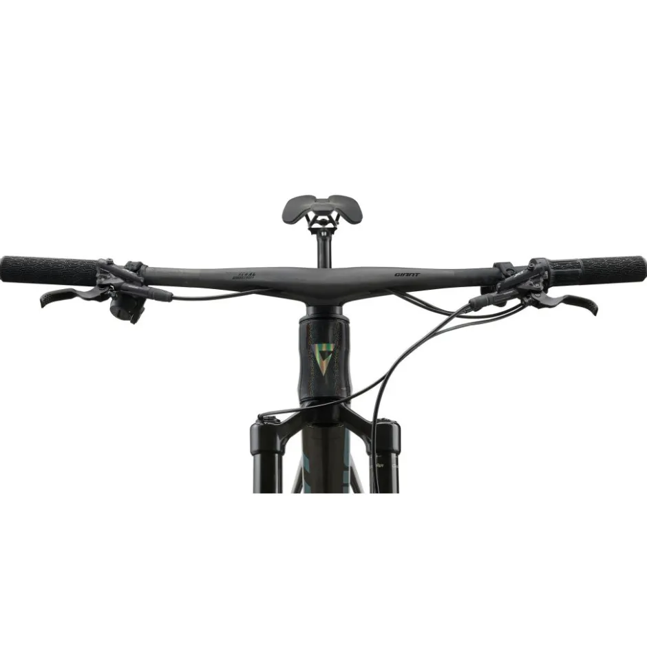 Mtb Full Suspension|Crosscountry Mountainbikes < Giant ANTHE ADVANCED S 1 - 29" Carbon TB - 2026 - rainbow back