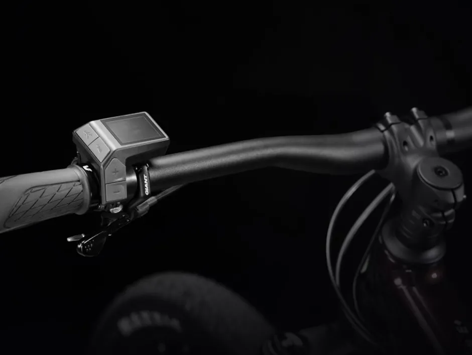 E-Bike Displays En Accessoires < Giant RideControl Dash 2 in 1 SG - 245-PGRM21-01
