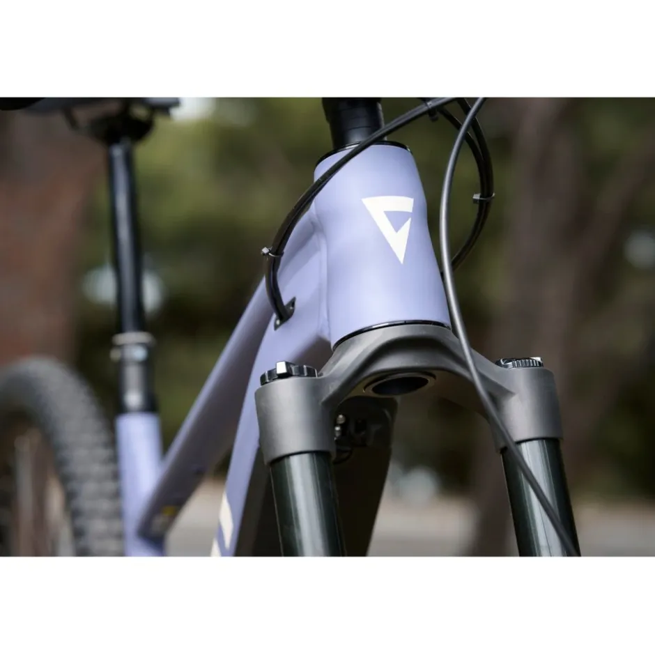 Elektrische Fietsen|E-Mtb Full Suspension < Giant STANCE E+ 2 - 29" E-ountainbike - 2026 - indigo