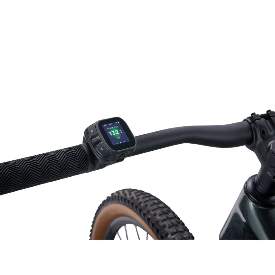 Elektrische Fietsen|E-Mtb Hardtail < Giant TAON E+ GEN2 - 29" E-TB - 2026 - aphat green