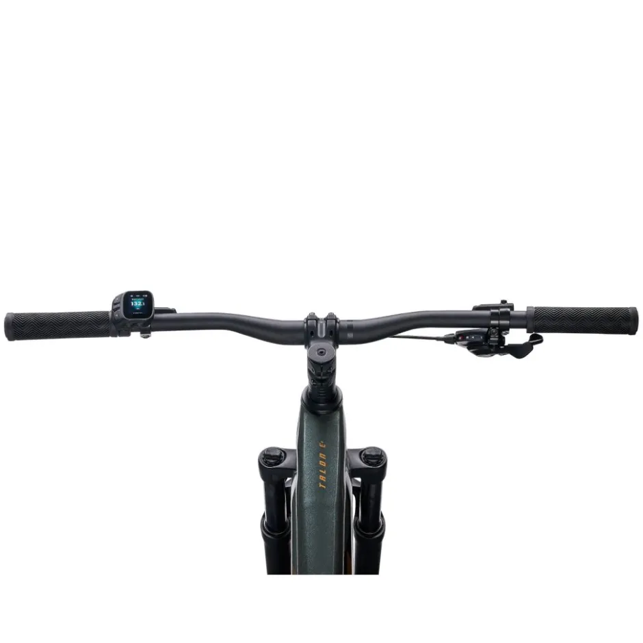 Elektrische Fietsen|E-Mtb Hardtail < Giant TAON E+ GEN2 - 29" E-TB - 2026 - aphat green