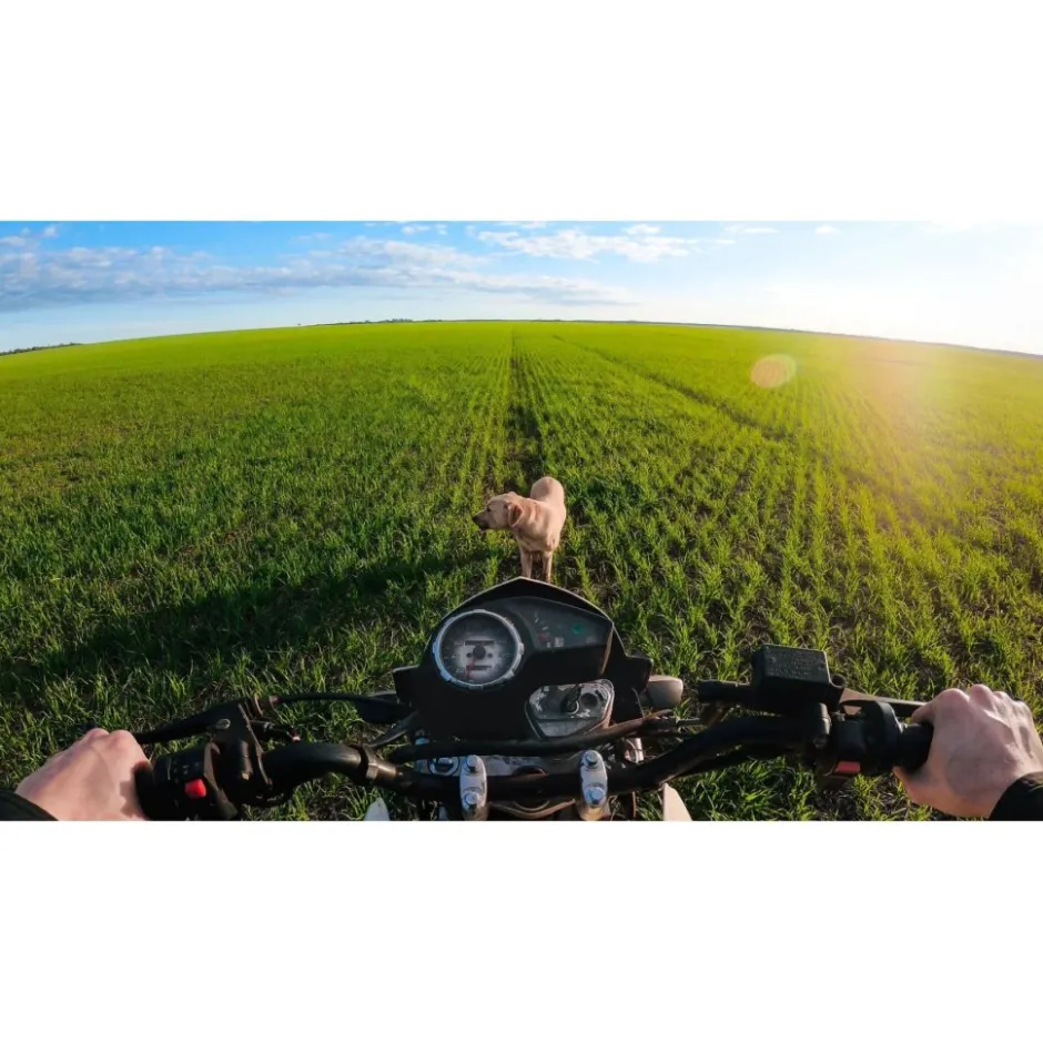 Camera'S En Action Cams|Camera'S En Action Cams < GoPro Chesty Performance Camera Chest Mount