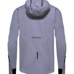 Jassen & Vesten < GOREWEAR Concurve GORE-TEX Ja Heren - aethyt grey DF00