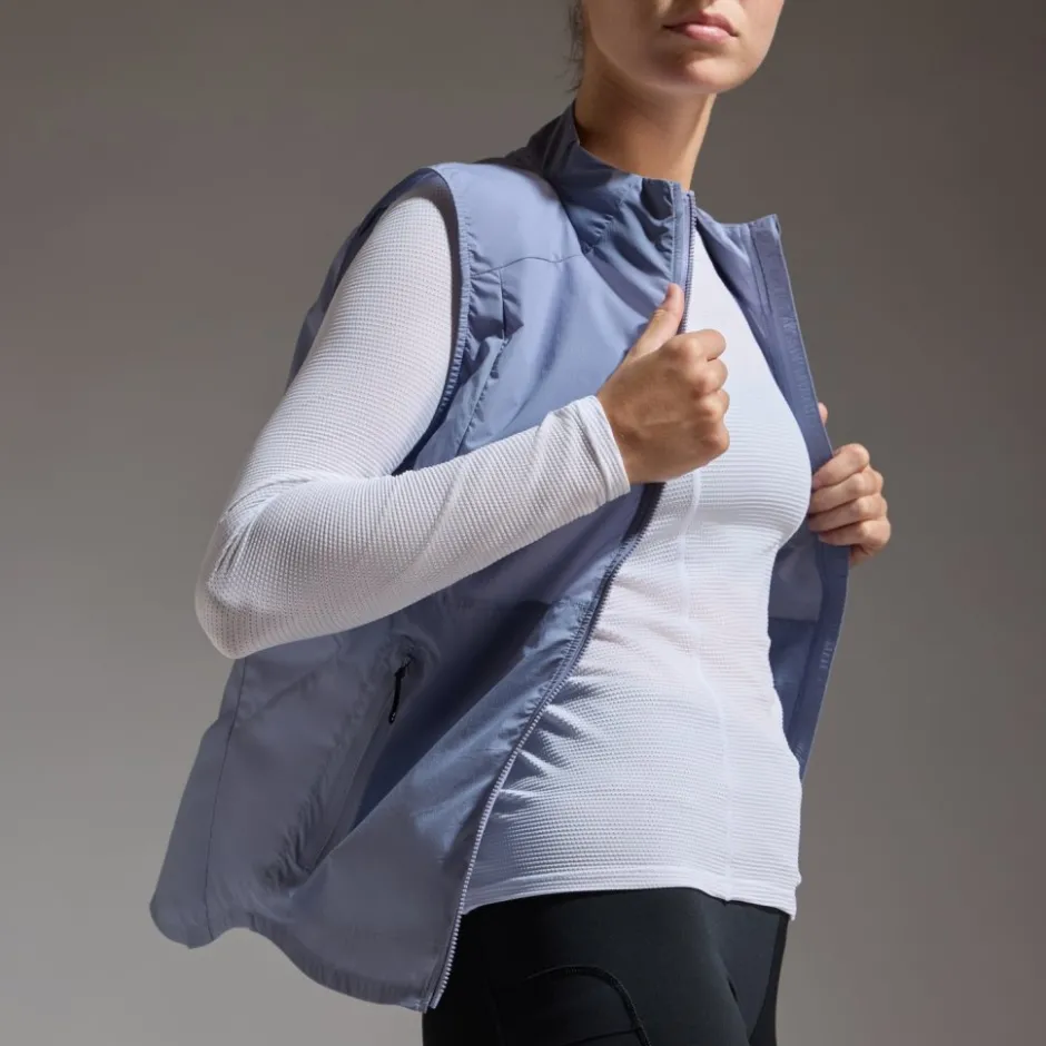 Jassen & Vesten < GOREWEAR Concurve Windbreaker Vet Dae - aethyt grey DF00