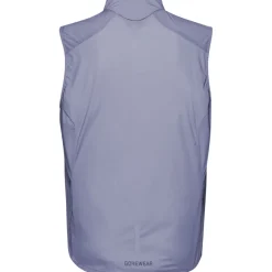 Jassen & Vesten < GOREWEAR Concurve Windbreaker Vet Dae - aethyt grey DF00