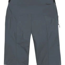 GOREWEAR Fernflow Fietsshorts Heren - lab graphite BZ00
