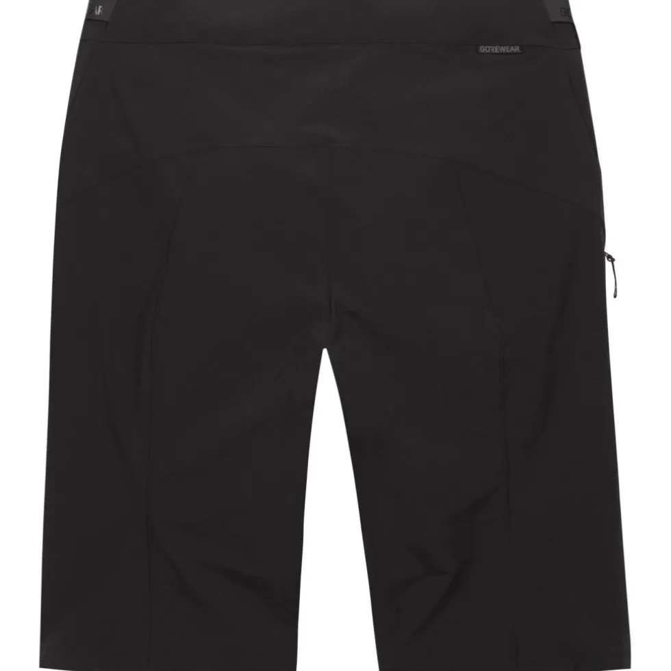 GOREWEAR Fernflow Fietsshorts Heren - black 9900