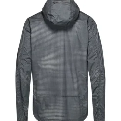 GOREWEAR Fernflow Haze Windbreaker Heren - arrow lab graphite / lab gray BZBF