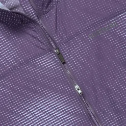 GOREWEAR Fernflow Haze Windbreaker Heren - arrow purple indigo / amethyst grey DEDF