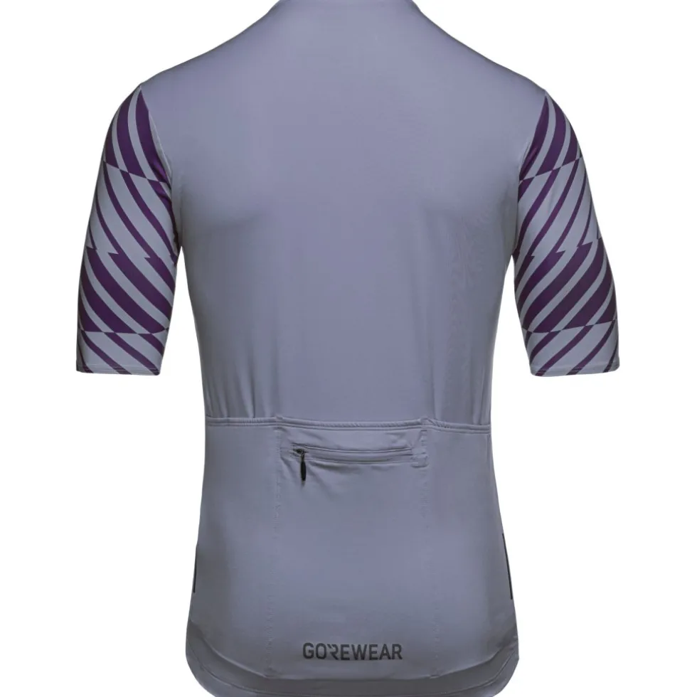 GOREWEAR Swiftride Optical Korte mouw shirt heren - amethyst grey / purple indigo DFDE