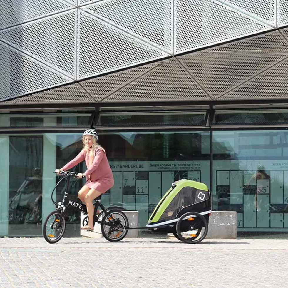 Hamax Avenida Fietskar voor 2 Kinder - Incl. dissel en buggywiel - olijfgroen