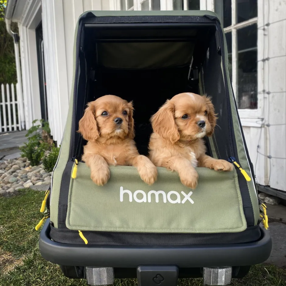 Hondenkarren < Hamax Pluto Medium Fietskar voor Honden - Incl. dissel en buggywiel - groen/zwart
