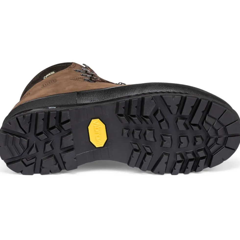 Hanwag Alaska GTX Schoenen Heren - Bruin