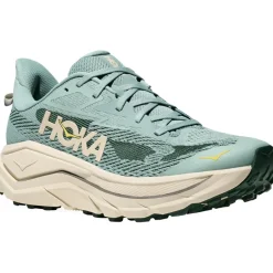 Schoenen|Trailrunning Schoenen < Hoka Challenger 8 Hardloopschoenen Heren - jade / truffle salt