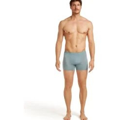 Icebreaker Merino 125 Cool-Lite™ Anatomica Boxershorts voor heren - Flint Blue