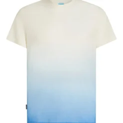 Icebreaker Merino 125 Cool-Lite™ Sphere Alta T-shirt met korte mouwen voor heren - Undyed