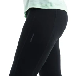 Icebreaker Merino 260 Fastray II 25