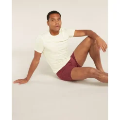 Baselayers|Ondergoed < Icebreaker erino Anatoica Hed et Korte ouwen Heren - Undyed