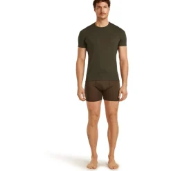 Icebreaker Merino Anatomica Korte mouwen Crewe t-shirt heren - Dark Loden