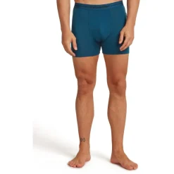 Icebreaker Merino Anatomica Boxershorts voor heren - Atlantis