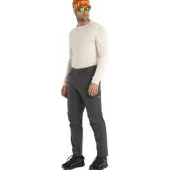 Icebreaker Merino 200 Oasis Thermo-shirt met lange mouwen voor heren - Undyed