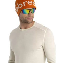 Icebreaker Merino 200 Oasis Thermo-shirt met lange mouwen voor heren - Undyed