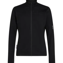 Icebreaker Merino 300 RealFleece™ Descender Jas Heren - Zwart