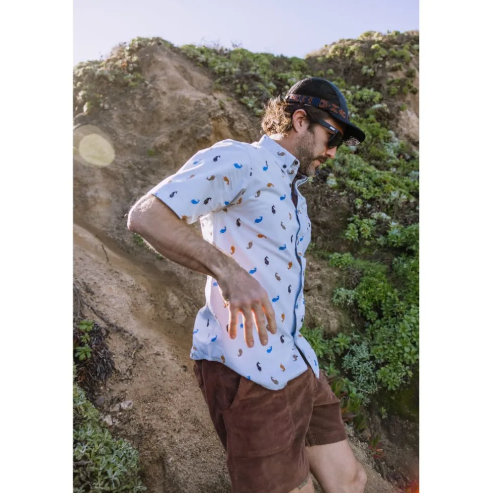 KAVU Take Ten Short Heren - Kelp Forest