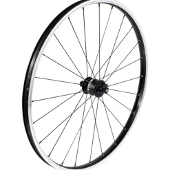 Kindermountainbikes < KUbikes 24L MTB 8-Speed Kids Bike - black