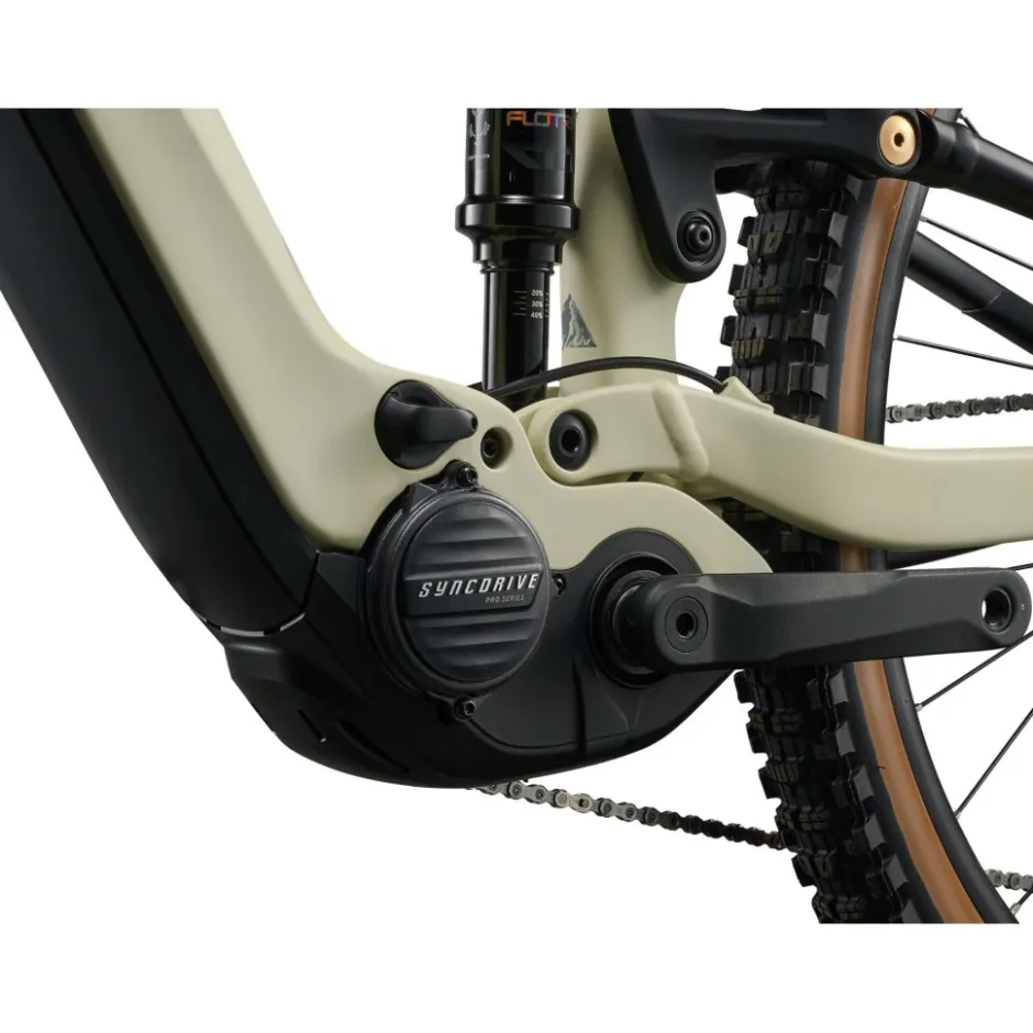 Elektrische Fietsen|E-Mtb Full Suspension < Liv EBOLDEN E+ 1 - 29" Dae E-TB - 2026 - pale o