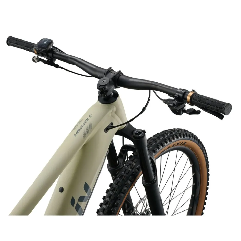 Elektrische Fietsen|E-Mtb Full Suspension < Liv EBOLDEN E+ 1 - 29" Dae E-TB - 2026 - pale o