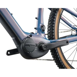 Elektrische Fietsen|E-Mtb Hardtail < Liv TEPT E+ | GEN2 - Daes E-TB - 2025 - 29" - Lunar Eclipse