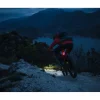 Lupine C14 BL E-Bike Achterlicht met Remlicht - 35.6mm