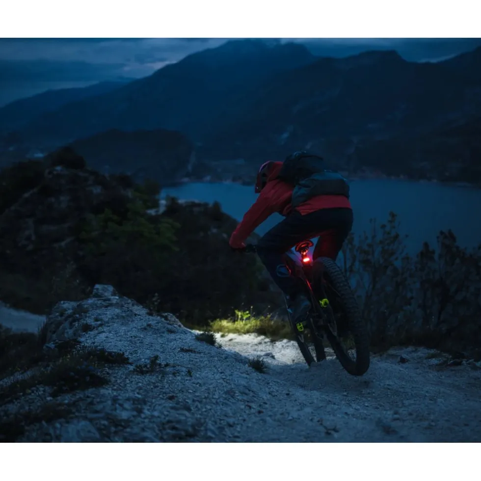 Lupine C14 BL E-Bike Achterlicht met Remlicht - 38.6mm