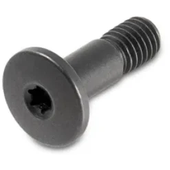 Bouten|Gereedschap En Onderhoud < Lupine GoPro Schroef - M5 x 16