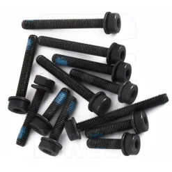 Magura Flat Mount Bolt Set Rear Wheel - T25 Torx