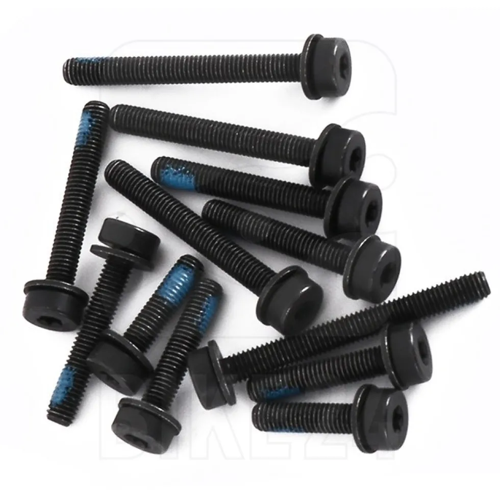 Magura Flat Mount Bolt Set Rear Wheel - T25 Torx