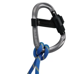 Mammut Smart HMS 2.0 Screwgate Carabiner - grey