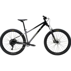 Mtb Hardtails < Marin SAN QUENTIN 1 - 29" ountainbike - 2026 - grey fade