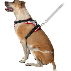 Nathan Sports K9 Dog Harness - Reflective Vapor Blue/Lollipop
