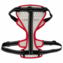 Nathan Sports K9 Dog Harness - Reflective Vapor Blue/Lollipop