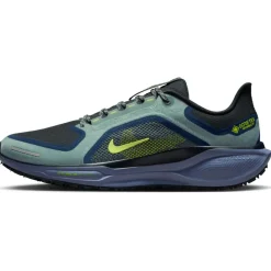 Hardloopschoenen Voor Op De Weg|Hardloopschoenen Heren < Nike Pegasus GORE-TEX Hardloopschoenen Heren - cannon/volt-obsidian-seaweed FQ1356-006