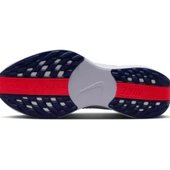 Nike Pegasus Plus Hardloopschoenen Dames - ghost/blue void-blue void-brigt crimson FQ7261-005