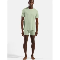Odlo Natural Merino 160 Boxershort Heren - ambrosia