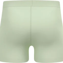 Odlo Natural Merino 160 Boxershort Heren - ambrosia
